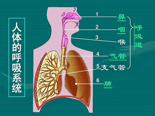 图片16.jpg